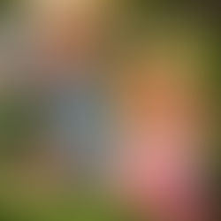 You Are Entitled to the Work