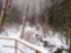 Hollis Creek in winter