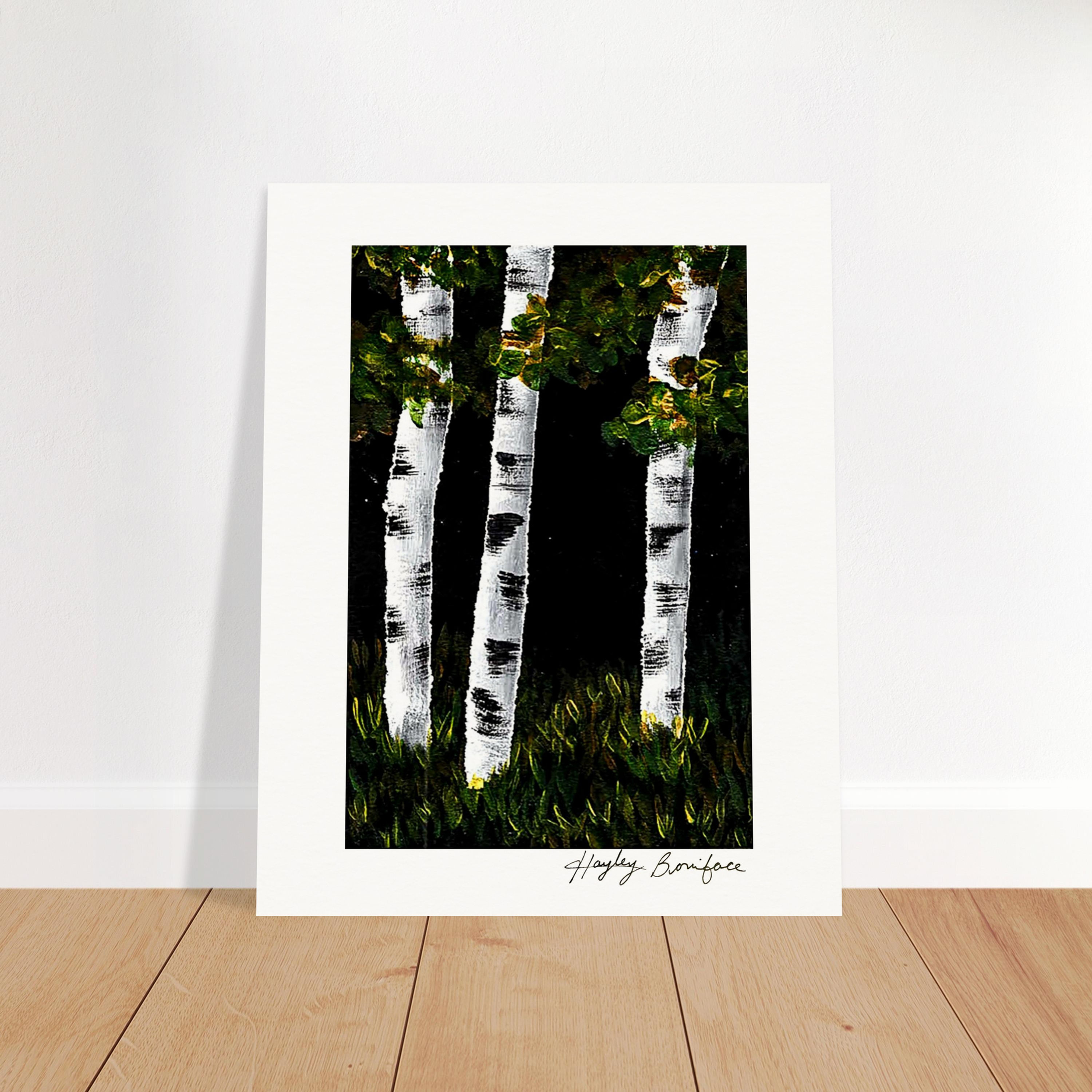 Birch Trees in the Night
