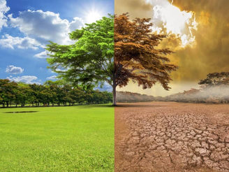 Cambio climático: unha tarefa pendente