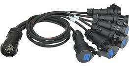 Male_Showline_Soca_Spider_1m_w16A_Black_