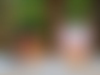 Mit einer plantbased diet ist gesunde Ernährung nicht teuer