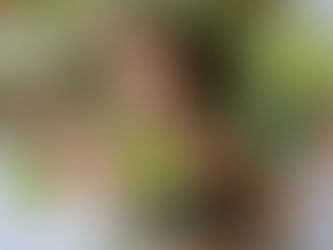 plantfoods helping this person to stay healthy and active with a healthy bodyweight