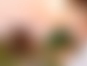 Nährstoffe in Fleisch: Strategien für eine fleischfreie Ernährung ohne Kompromisse (Teil 2)