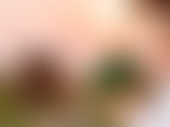 Nährstoffe in Fleisch: Strategien für eine fleischfreie Ernährung ohne Kompromisse (Teil 2)