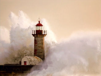 Das eigene "Warum" finden: Nachhaltiger Lebenswandel mit der 5-Why-Methode