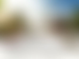 Documents on desk with coffee by tropical beach house, planning stay and reviewing Short Term Rental Laws Hollywood FL.