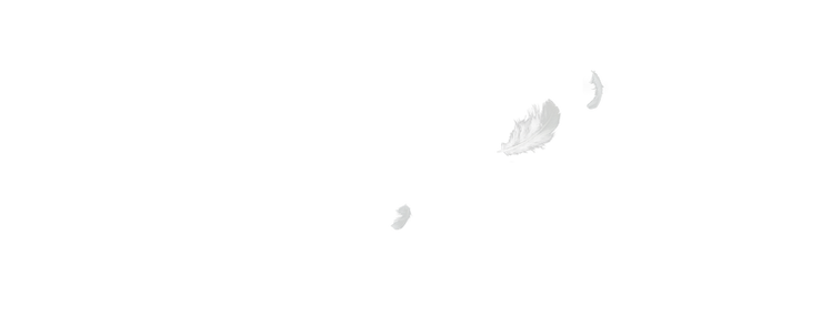 F1.png