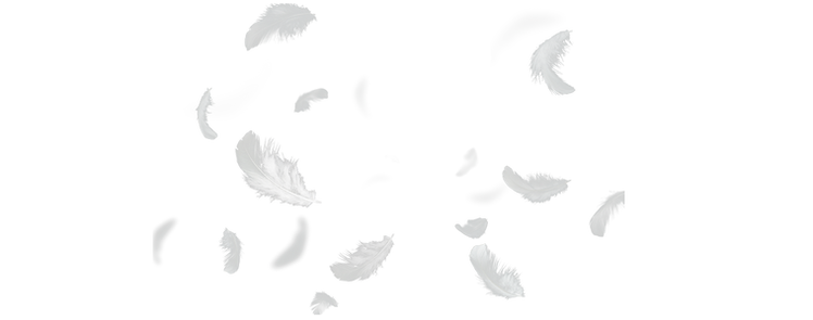 F3.png