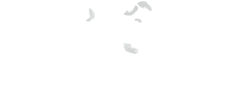 F2.png