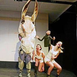 Woyzeck von Georg Büchner, Puppentheater Societätstheater Dresden