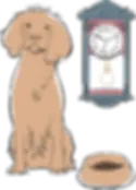 A sitting by a clock and a food bowl