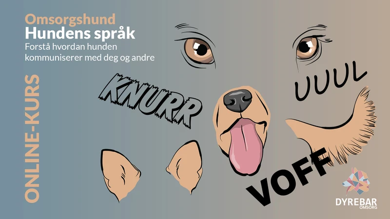 Forelesning i Hundens språk og signaler 