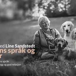 <p class="font_8" style="text-align: center">Pris:</p>
<h1 class="font_0" style="text-align: center">Kr 300</h1>