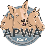 APWA liten.png