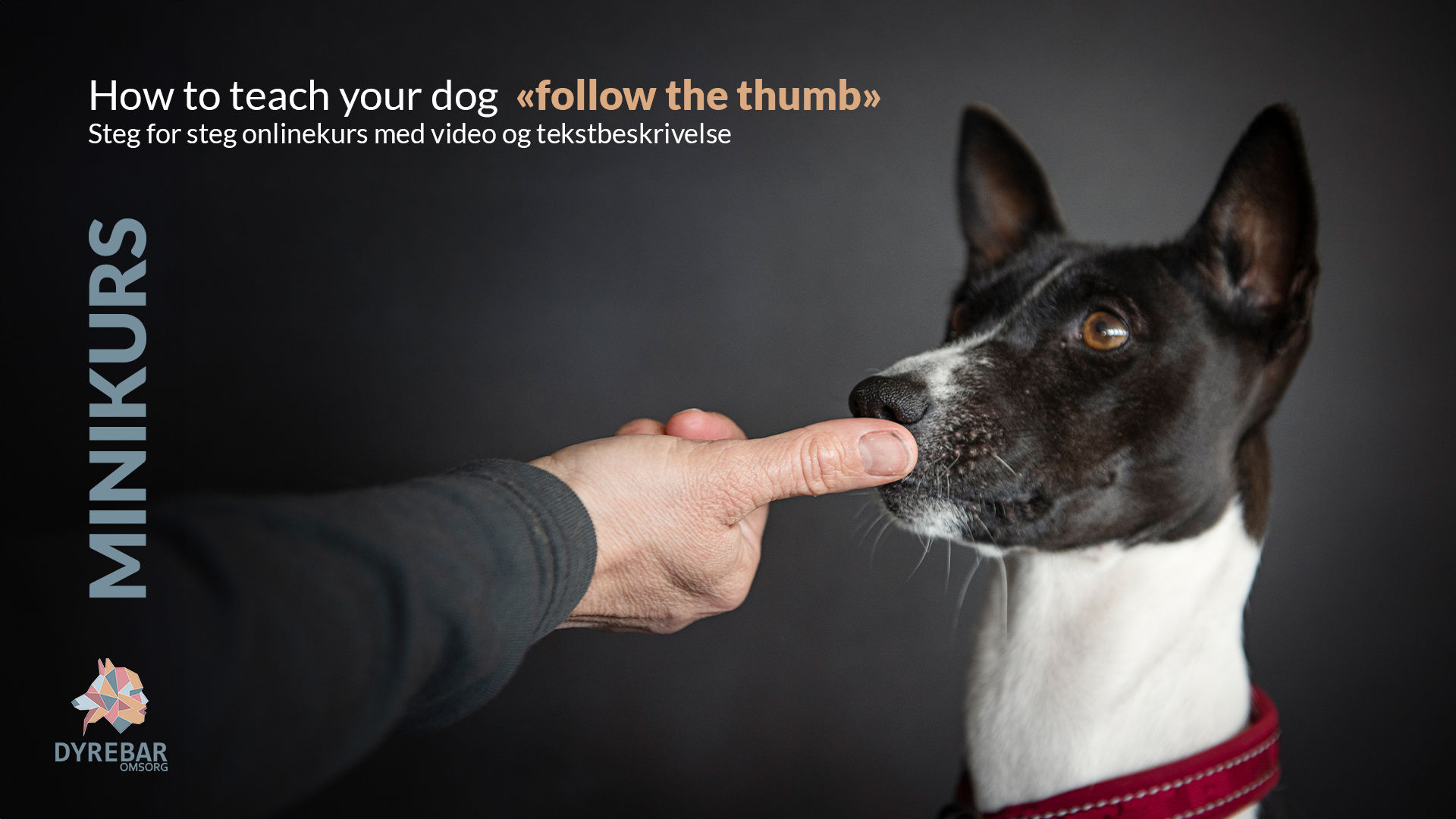 How to teach your dog to “follow the thumb”