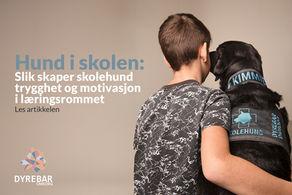 Hund i skolen: Slik skaper skolehund trygghet og motivasjon i læringsrommet
