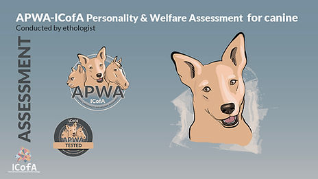 APWA-ICofA canine assessment
