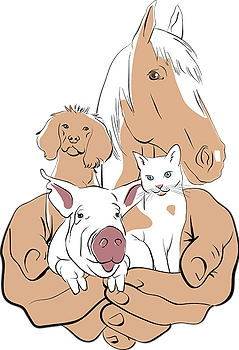 Animal welfare APWA-ICofA