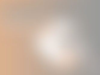 How to Teach Your Dog to “Spin”