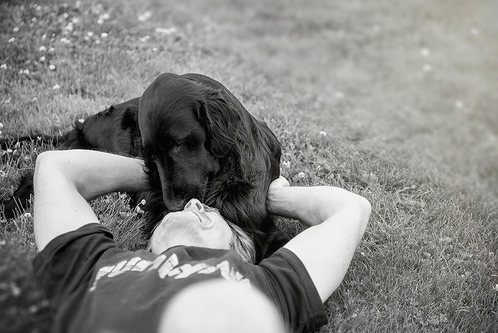 Helge and Happy playing