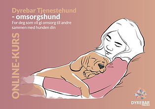 Omsorgshund teorikurs