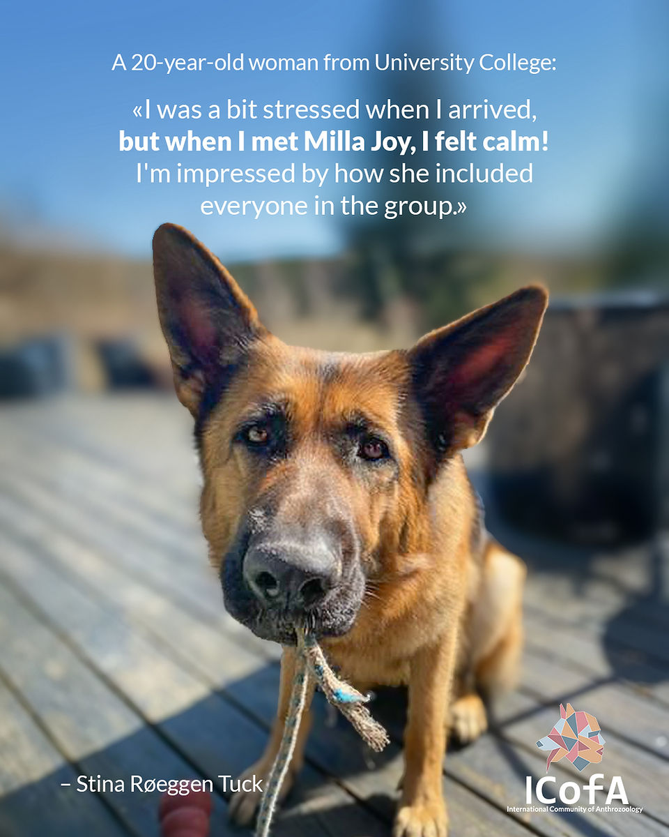 Milla Joy the therapy dog