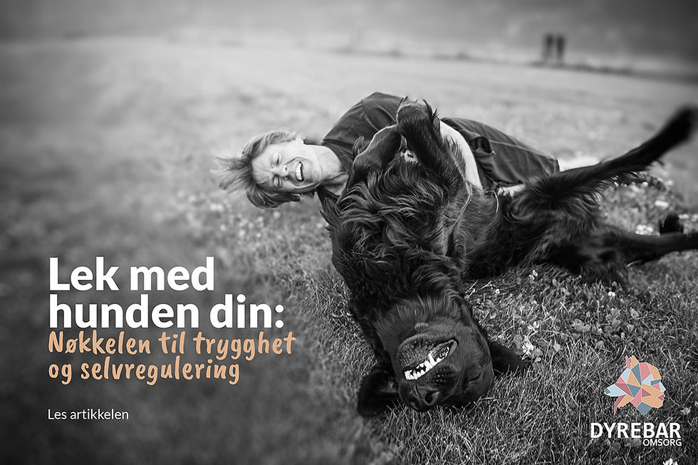 Lek med hunden din