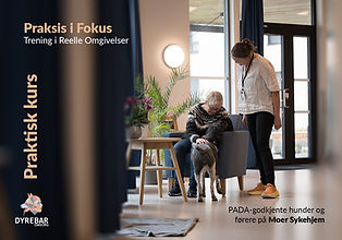 Praksis i fokus.jpg