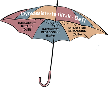 Paraplybegrep dyreassisterte tiltak
