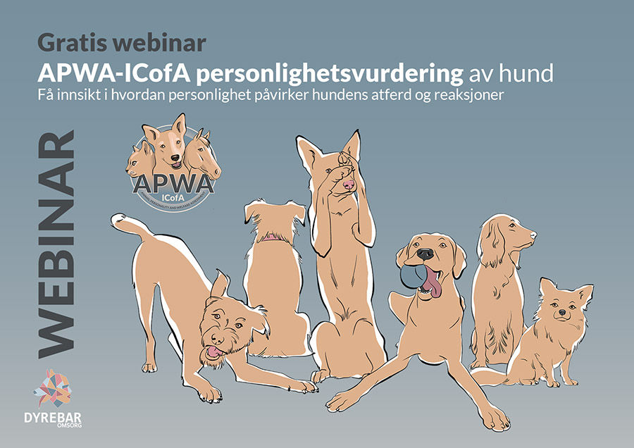 Gratis webinar - hvorfor egnethetsvurdere?