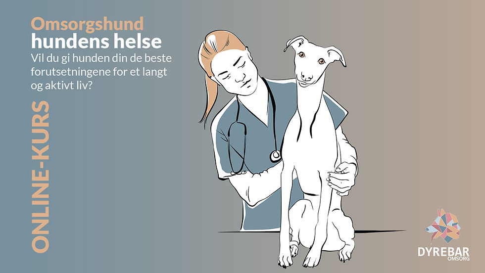 Hundens helse