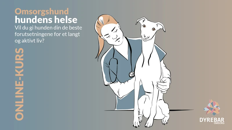 Forelesning - Hundens helse