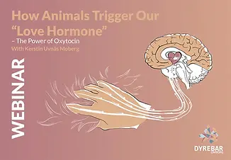 How Animals Trigger Our
“Love Hormone”