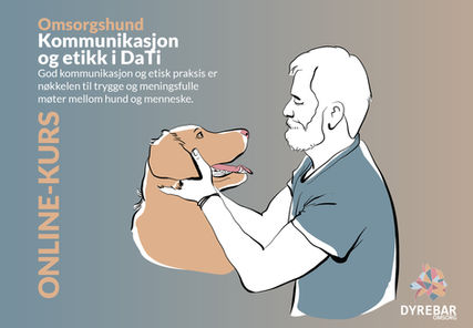 Kommunikasjon og etikk i DaTi