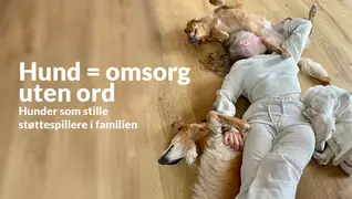 En jente ligger på gulvet omgitt av tre hunder som søker nærhet, et sterkt bilde på hvordan hunder gir støtte og omsorg uten ord.