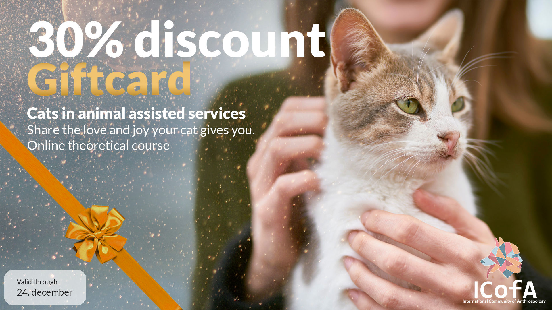 Gift Card Cats in Animal-Asssited Services