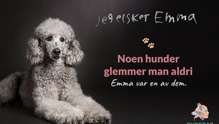 Til minne om terapi- og skolehunden Emma