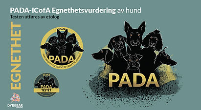 PADA-ICofA Egnethetsvurdering av hund