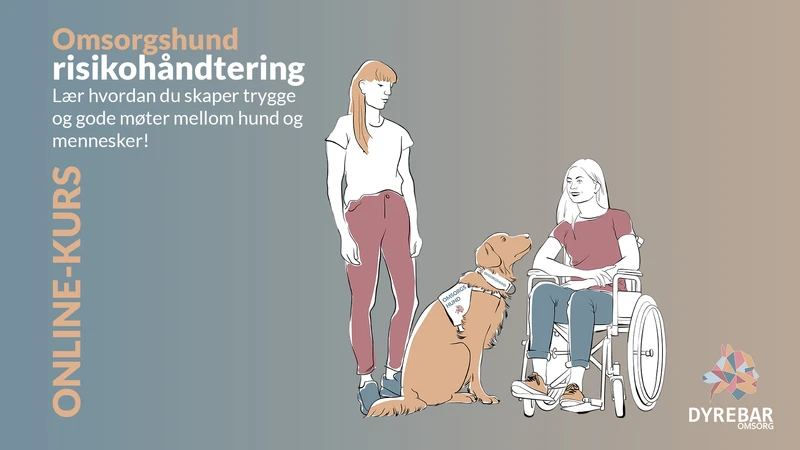 Forelesning - Risikohåndtering i DaTi