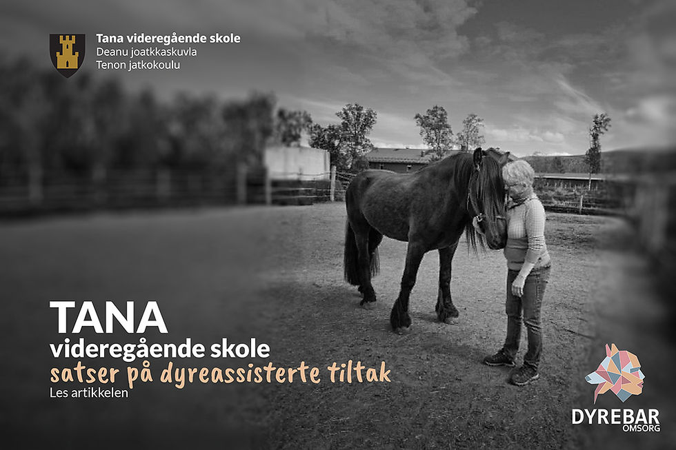 Tana vgs. satser på dyreassisterte tiltak