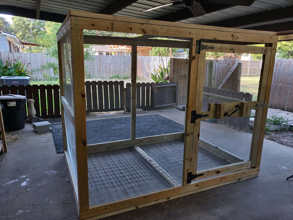 Thumbnail: 96" x 72" x 72" (8'/6'/6')(LxWxH)(~2150 gal) Outdoor Tegu Enclosure