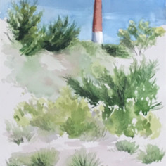 Barney in the Dunes 2019