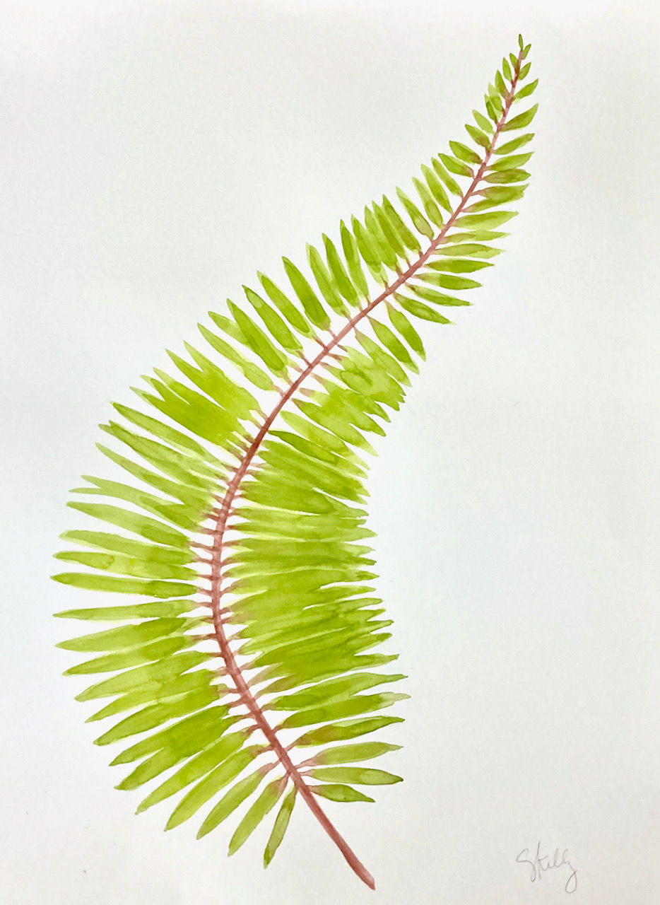 Green Flora #11