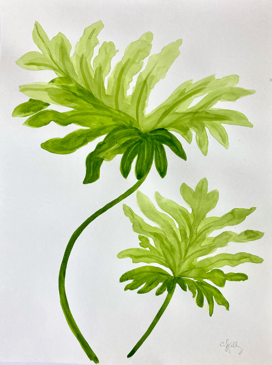 Green Flora #10