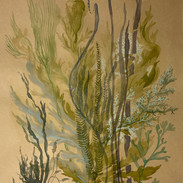 Green 🔴Seaweed 🔴#1 15x20__edited.jpg