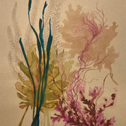 Seaweed #1 🔴 15x20__edited.jpg