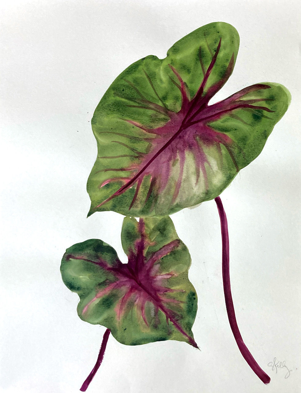 Green Flora #7