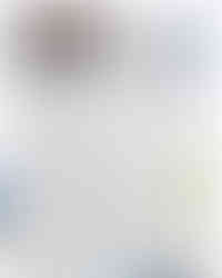 観光経済新聞「万博で観光ビジコン」最優秀にフードピクト