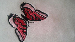 12248718_1205666259448347_2093282397_n